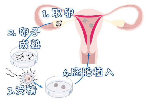 陈医生